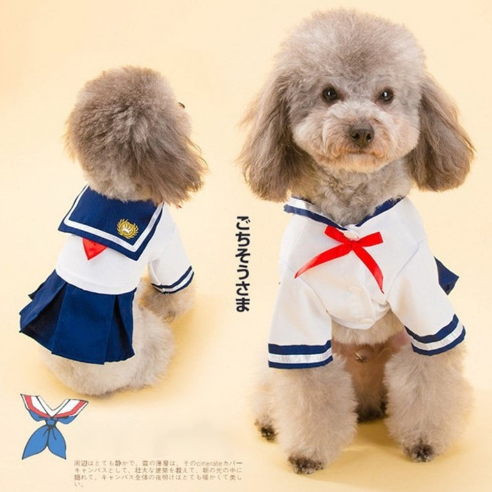 Furry Pants Cat in sailor costume by Misha Mishafromrussia
