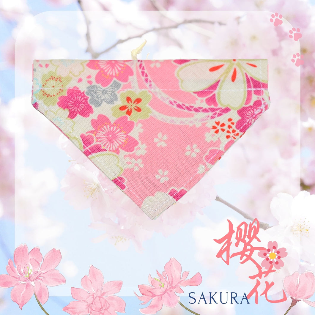 Sakura Bandana (Pink) 💗 Spring Limited Cherry Blossom Cat Outfit - MeowMeowRepublic