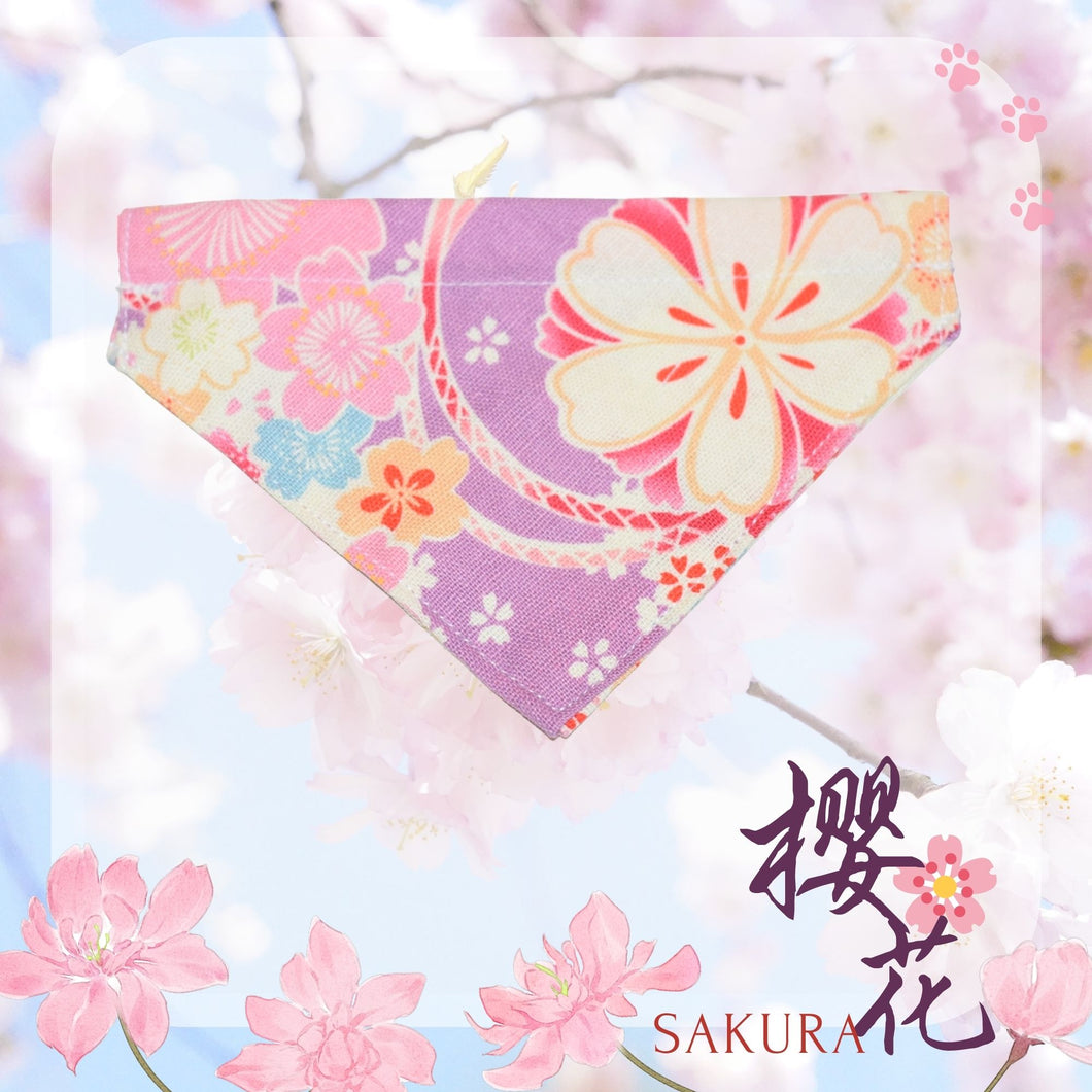 Sakura Bandana (Purple) 💜 Spring Limited Cherry Blossom Cat Outfit - MeowMeowRepublic