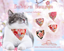 Load image into Gallery viewer, sakura bandana kimono Japanese style outfit for cats and dogs.
