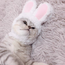 Load image into Gallery viewer, Cat Costume Bunny Ears Hat Cute Playboy Magazine Accessory Pet Outfit
