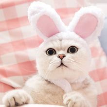 Load image into Gallery viewer, Cat Costume Bunny Ears Hat Cute Playboy Magazine Accessory Pet Outfit
