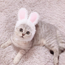 Load image into Gallery viewer, Cat Costume Bunny Ears Hat Cute Playboy Magazine Accessory Pet Outfit
