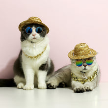 Load image into Gallery viewer, Cat Sunglass Fashion Outfit Accessories for Pets
