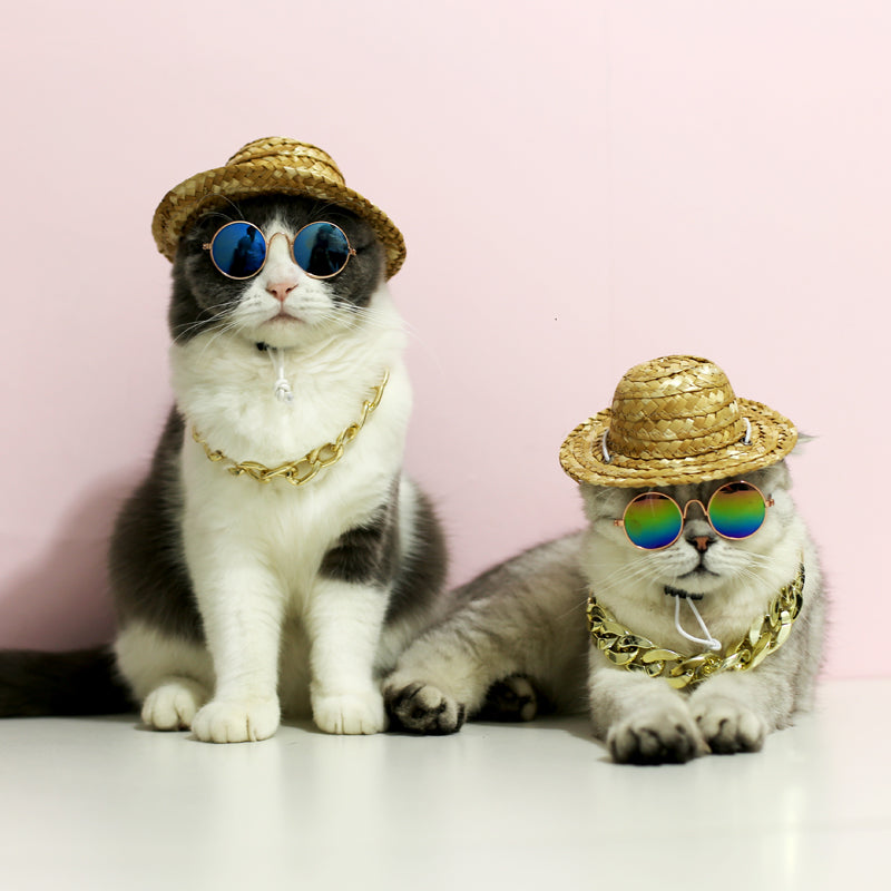 Cat Sunglass Fashion Outfit Accessories for Pets