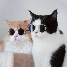 Load image into Gallery viewer, Cat Sunglass Fashion Outfit Accessories for Pets
